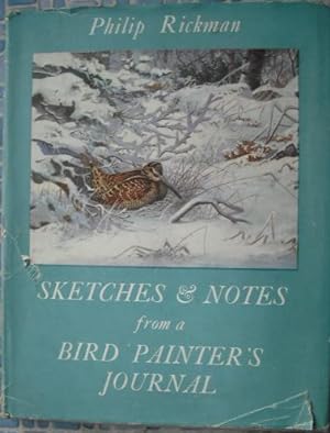 Sketches and Notes From a Bird Painter's Journal