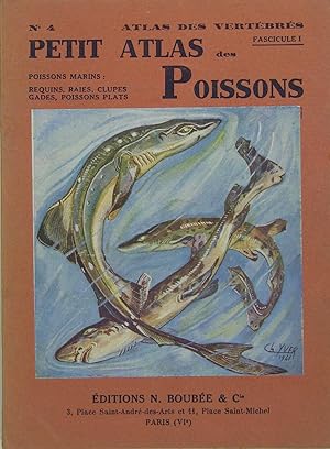 Petit atlas des poissons - N° 4, fascicule 1 : Poissons marins : requins, raies, clupes, gades, p...
