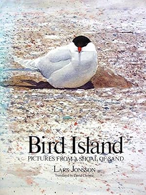 Bird Island: Pictures From a Shoal of Sand