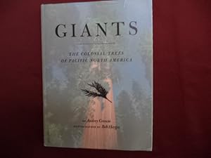Seller image for Giants. The Colossal Trees of Pacific North America. for sale by BookMine