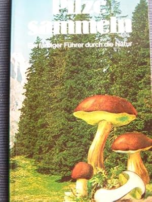 Bild des Verkufers fr Pilze sammeln Ein farbiger Fhrer durch die Natur zum Verkauf von Alte Bcherwelt