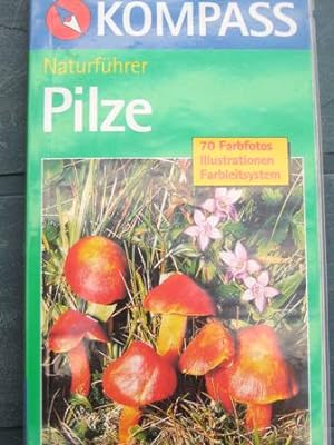 Seller image for Pilze sehen und verstehen for sale by Alte Bcherwelt