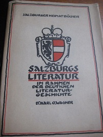 Imagen del vendedor de Salzburgs Literatur im Rahmen der deutschen Literaturgeschichte a la venta por Alte Bcherwelt