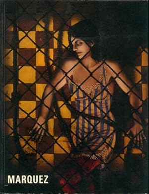 Seller image for Roberto Marquez; Sojourns in the Labyrinth: A Survey of Paintings: 1984-1994 for sale by Paperback Recycler