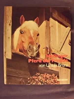 Immagine del venditore per Haflinger - Pferd der Freude venduto da Buchantiquariat Uwe Sticht, Einzelunter.