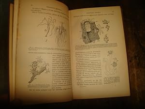 Imagen del vendedor de Reproduction chez les animaux.Embryognie des Mtazoaires. a la venta por Librairie FAUGUET