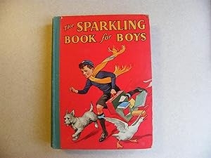The Sparkling Book for Boys