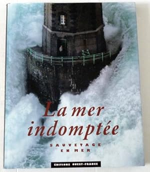 LA MER INDOMPTEE : Sauvetage en Mer