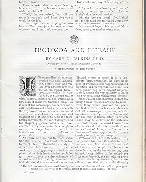 Seller image for Protozoa And Disease for sale by Legacy Books II