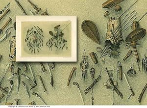 INDIGENOUS WEAPONS: Original 19th Century Tinted Lithograph Print.