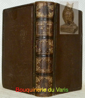 Bild des Verkufers fr Un Tour de Suisse. Histoire, science, monuments, paysages. Illustrations par Karl Girardet. Tome I et tome II, relis ensemble. zum Verkauf von Bouquinerie du Varis