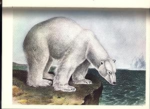 Seller image for WILDLIFE IN AMERICA for sale by Charles Agvent,   est. 1987,  ABAA, ILAB