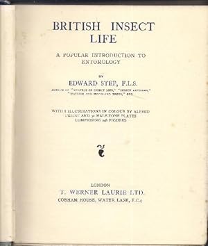 British Insect Life A Popular Introduction to Entomology.