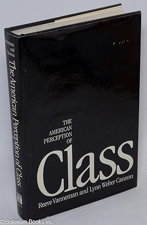 Imagen del vendedor de The American perception of class a la venta por Bolerium Books Inc.