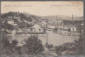 Bruck an der Mur, Steiermark. Zusammenfluß der Mürz und Mur.