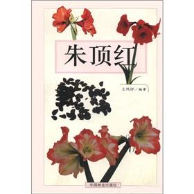 Imagen del vendedor de Hippeastrum(Chinese Edition)(Old-Used) a la venta por liu xing