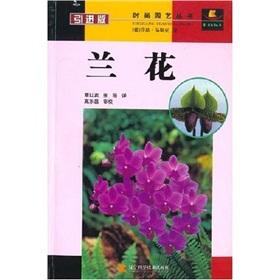 Image du vendeur pour Orchid (introduced version) fashion gardening books(Chinese Edition) mis en vente par liu xing