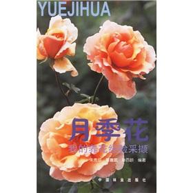 Imagen del vendedor de rose (my gardening experience. pick) a la venta por liu xing