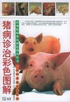 Immagine del venditore per pig disease diagnosis and treatment of color graphic - - Animal Books Color Atlas of poultry disease diagnosis and treatment(Chinese Edition) venduto da liu xing