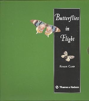 Seller image for Butterflies in Flight. for sale by Joseph Valles - Books