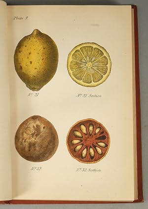 A MANUAL OF VEGETABLE MATERIA MEDICA