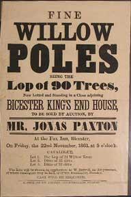 Fine Willow Poles being the Lop of 90 Trees. Bicester [original auction poster].
