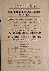 Autumn Sale of Pure-Bred Alderney & Guernsey Cattle. Banbury [original auction poster].