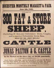 Upwards of 300 Fat & Store Sheep and Several Head of Cattle. Bicester [original auction poster].