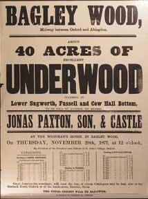 Imagen del vendedor de About 40 Acres of Excellent Underwood. Bagley Wood, between Oxford and Abingdon [original auction poster]. a la venta por Wittenborn Art Books