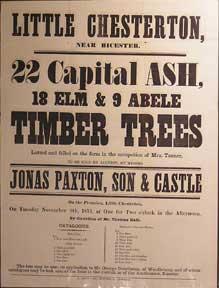 Imagen del vendedor de 22 Capital Ash, 18 Elm & 9 Abele Timber Trees. Little Chesterton near Bicester [original auction poster]. a la venta por Wittenborn Art Books