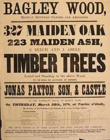 Imagen del vendedor de 327 Maiden Oak, 223 Maiden Ash, 2 Beech and 1 Abele Timber Trees. Bagley Wood, between Oxford and Abingdon [original auction poster]. a la venta por Wittenborn Art Books