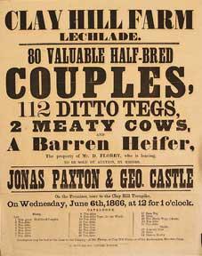 80 Valuable Half-Bred Couples, 112 Ditto Tegs, 2 Meaty Cows and a Barren Heifer. Clay Hill Farm, ...