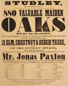 880 Valuable Maiden Oaks, and Elm, Chestnut, and Beech Trees. Studley, Midway between Brill and O...