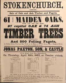 61 Valuable Maiden Oaks; Oak, Ash Timber Trees (Felled) and 800 Felling Fagots. Stokenchurch, Oxo...