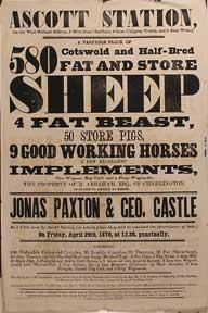 Cotswold and Half-Bred Fat and Store Sheep, 4 Fat Beast, Store Pigs, Good Working Horses. Ascott ...