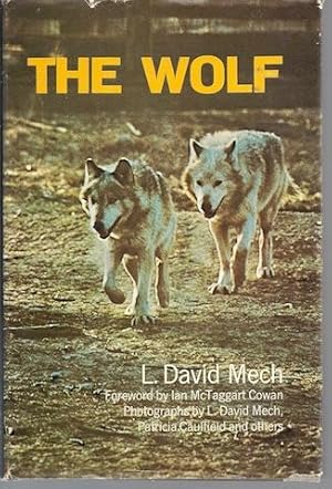 Imagen del vendedor de The Wolf: The Ecology and Behavior of an Endangered Species, a la venta por Hill Country Books