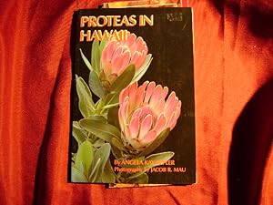Bild des Verkufers fr Proteas in Hawaii. zum Verkauf von BookMine