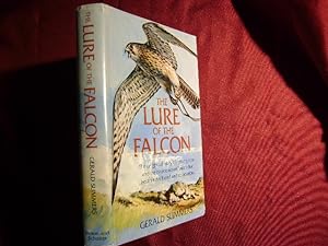 Seller image for The Lure of the Falcon. (Kestrel Falcon). for sale by BookMine
