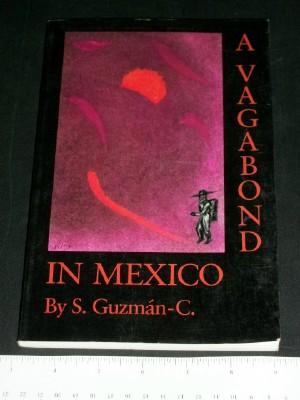 A Vagabond in Mexico