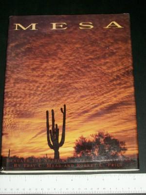 Mesa: Beneath the Shadows of the Superstition