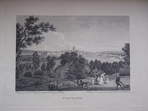 Seller image for Original Antique Engraving Illustrating Worcester in Worcestershire. for sale by Rostron & Edwards