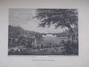 Seller image for Original Antique Engraving Illustrating The Leasowes in Shropshire. for sale by Rostron & Edwards