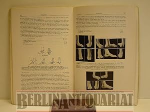 Bild des Verkufers fr Verhandlungen der Deutschen Orthopdischen Gesellschaft. Vierzigster Kongress. zum Verkauf von BerlinAntiquariat, Karl-Heinz Than