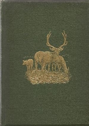 Seller image for City Boys in the Woods, or A Trapping Venture in Maine. for sale by Saintfield Antiques & Fine Books