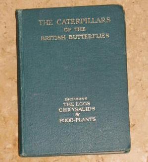 The Caterpillars of the British Butterflies Including the Eggs, Chrysalids and Food Plants - Base...