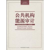 Imagen del vendedor de (public sector saving series): Public sector energy audits(Chinese Edition) a la venta por liu xing