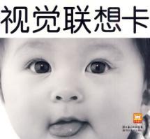 Imagen del vendedor de China early childhood special network of experts recommended - black and white visual association card card(Chinese Edition) a la venta por liu xing