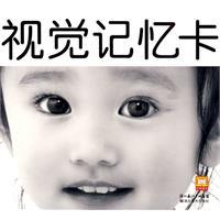 Imagen del vendedor de China early childhood special network of experts recommended - visual memory card black card(Chinese Edition) a la venta por liu xing