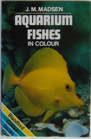 Aquarium Fishes in Colour