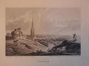 Original Antique Engraving Illustrating a View of Norwich in Norfolk.